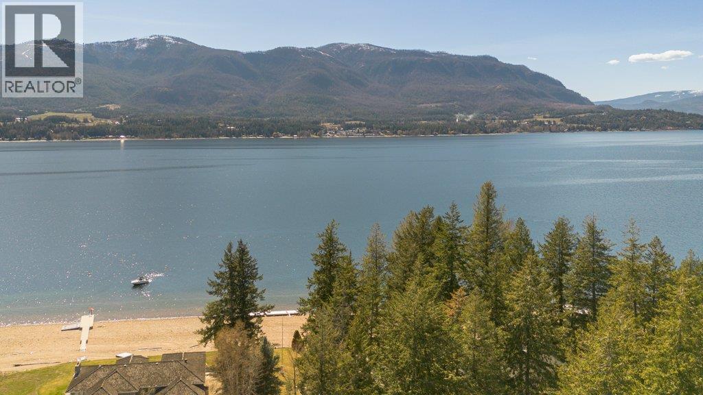 3789 Zinck Road, Scotch Creek, British Columbia  V0E 1M5 - Photo 89 - 10383098