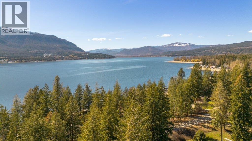 3789 Zinck Road, Scotch Creek, British Columbia  V0E 1M5 - Photo 90 - 10383098