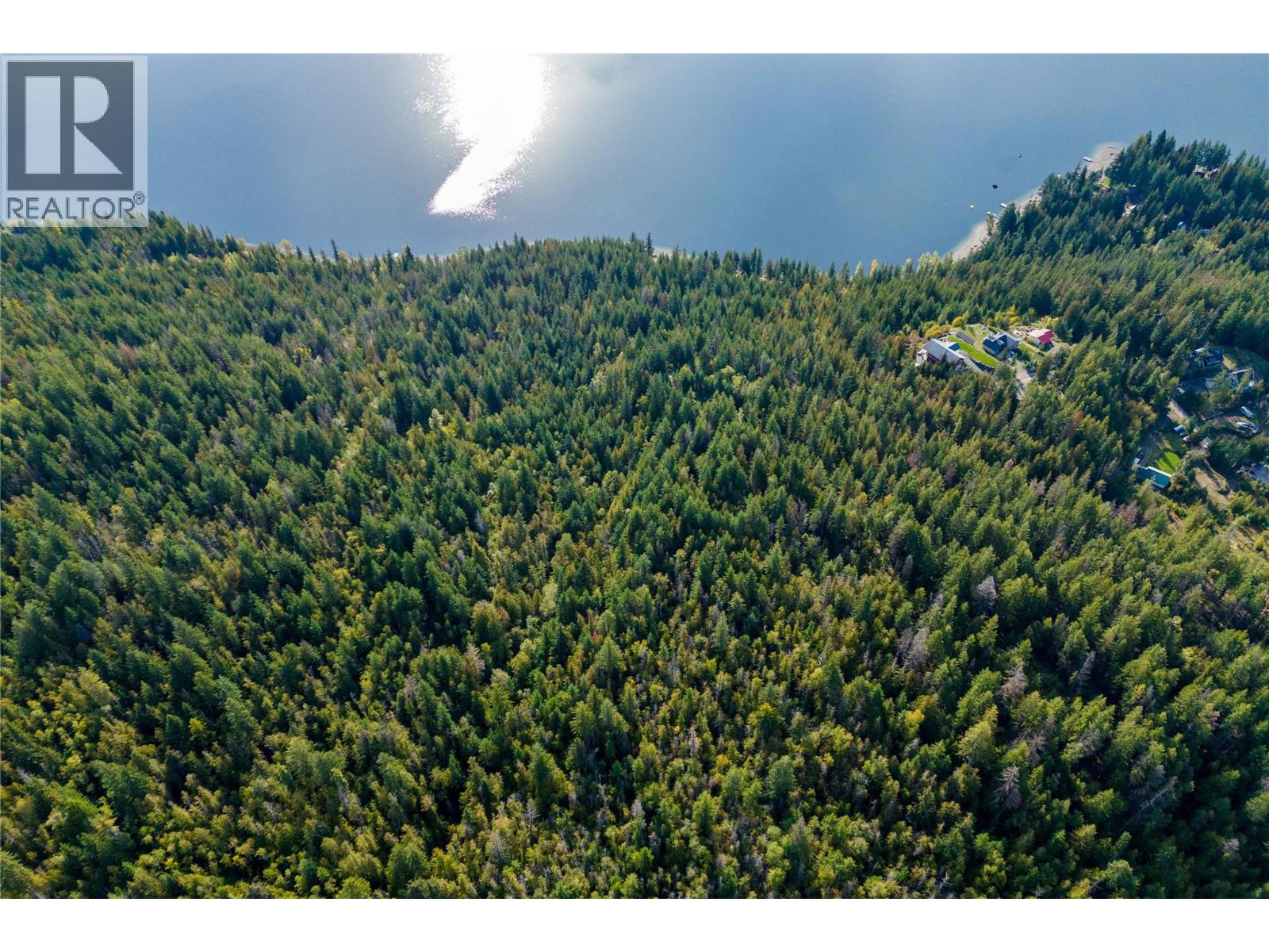 Ls3 Squilax-Anglemont Road, Anglemont, British Columbia  V0E 1M8 - Photo 7 - 10383268