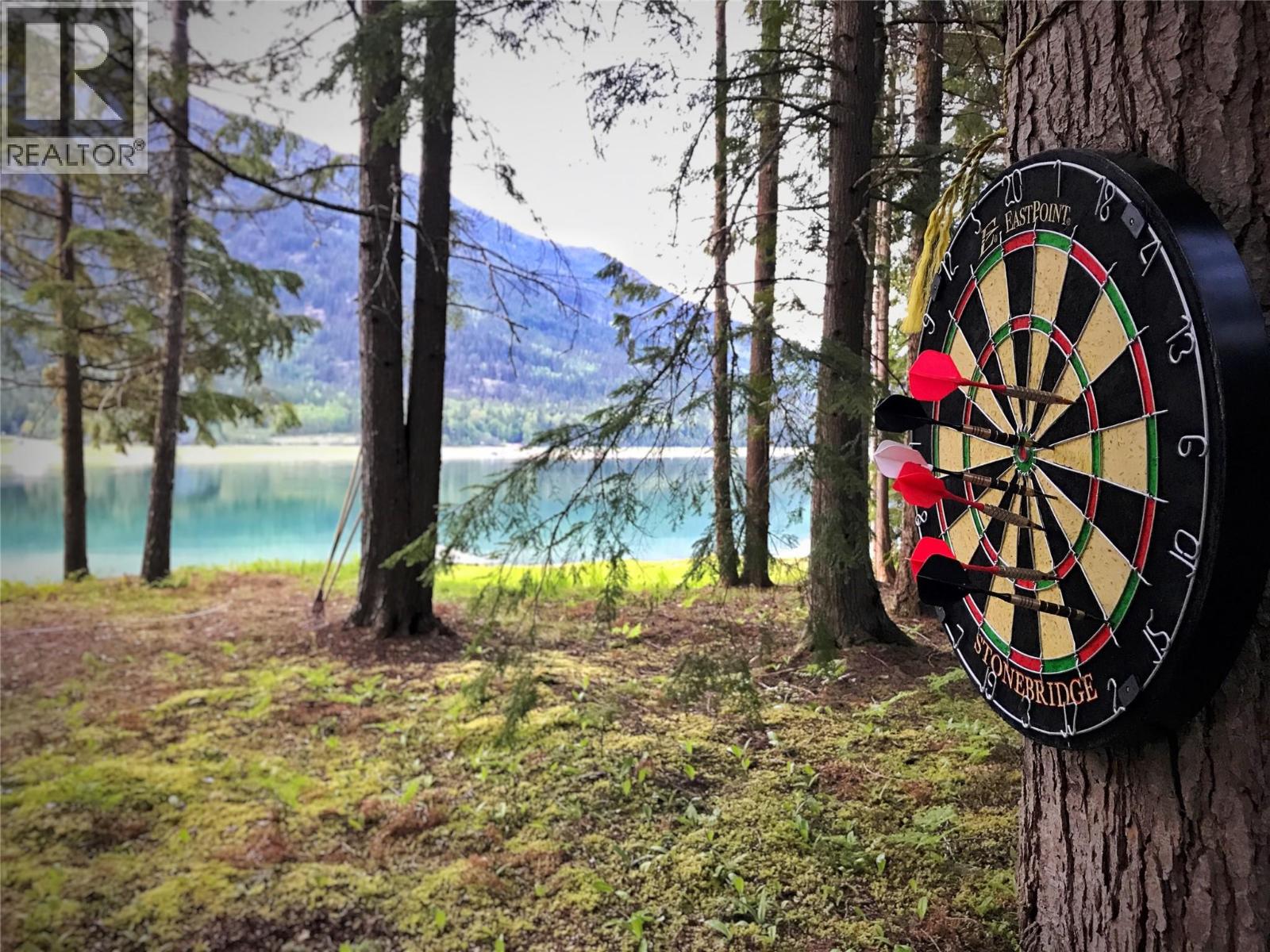 3848 Rock Island Road, Nakusp, British Columbia  V0G 1R1 - Photo 27 - 10383121