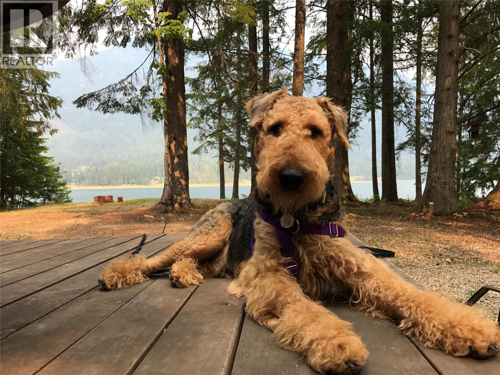 3848 Rock Island Road, Nakusp, British Columbia  V0G 1R1 - Photo 33 - 10383121