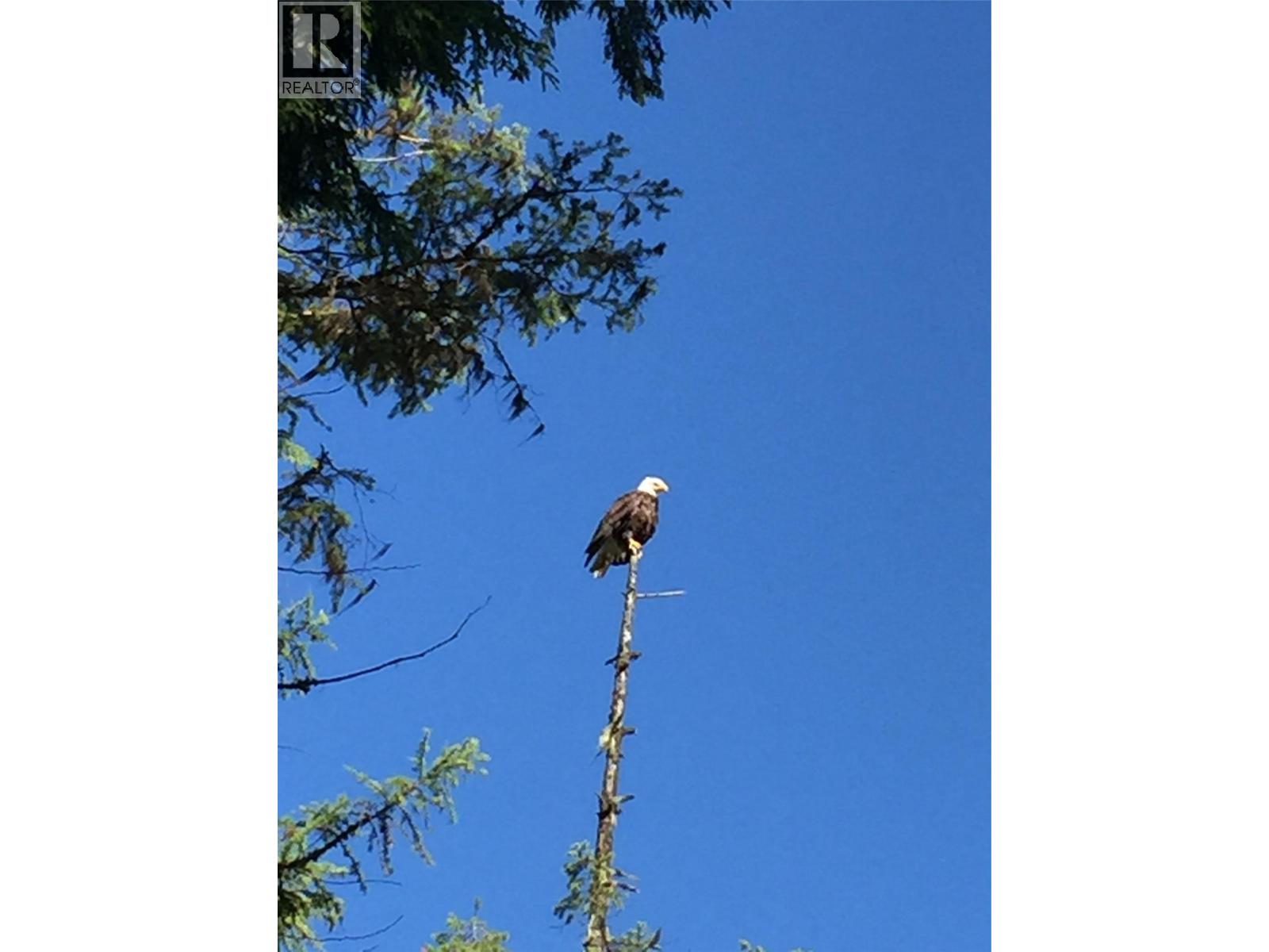 3848 Rock Island Road, Nakusp, British Columbia  V0G 1R1 - Photo 35 - 10383121