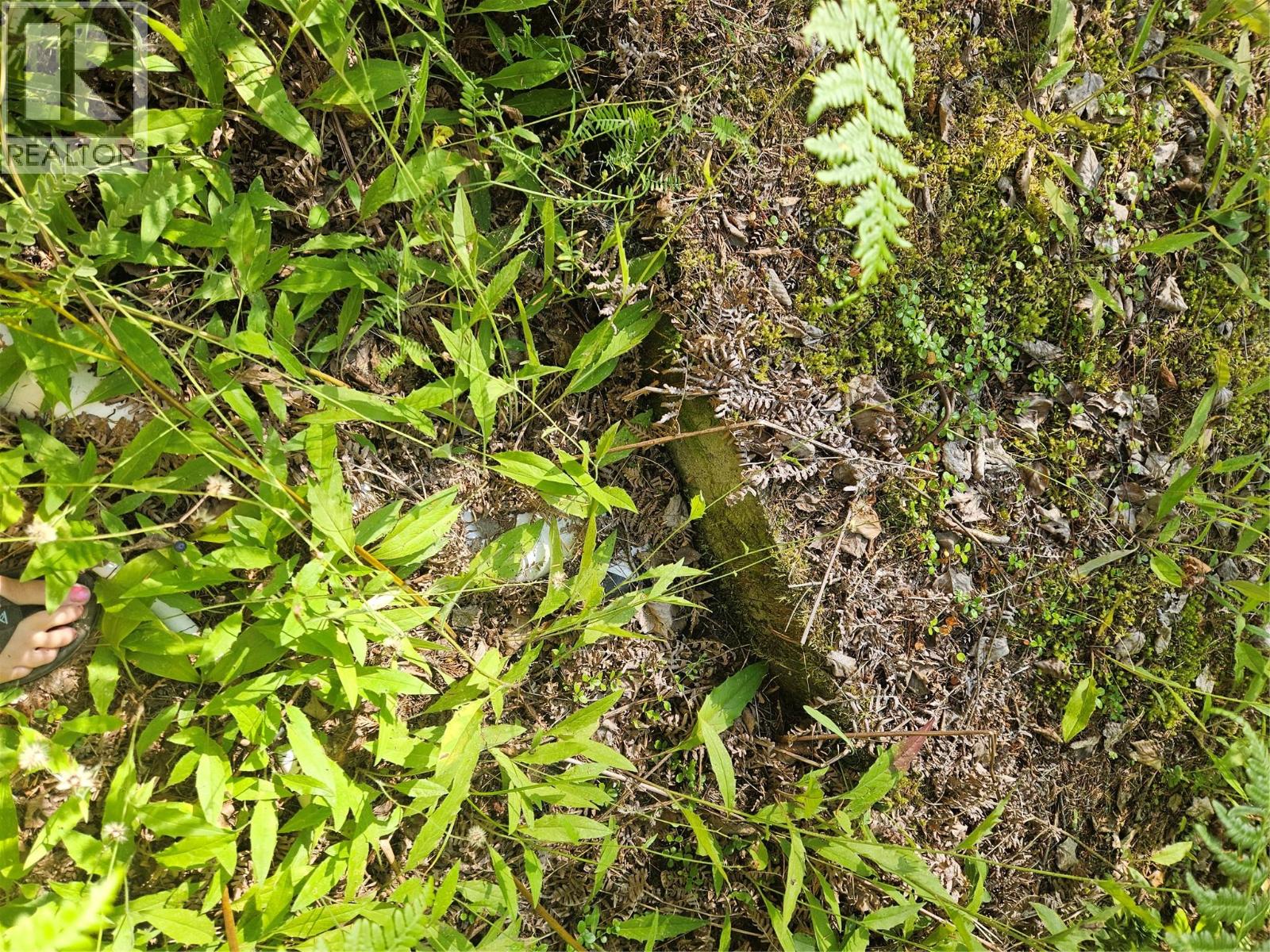 3848 Rock Island Road, Nakusp, British Columbia  V0G 1R1 - Photo 43 - 10383121