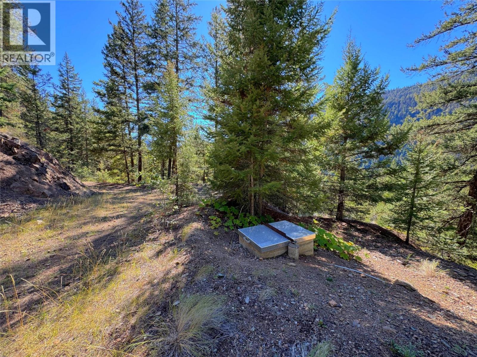 Dl 2697 Highway 5a, Princeton, British Columbia  V0X 1W0 - Photo 17 - 10383328