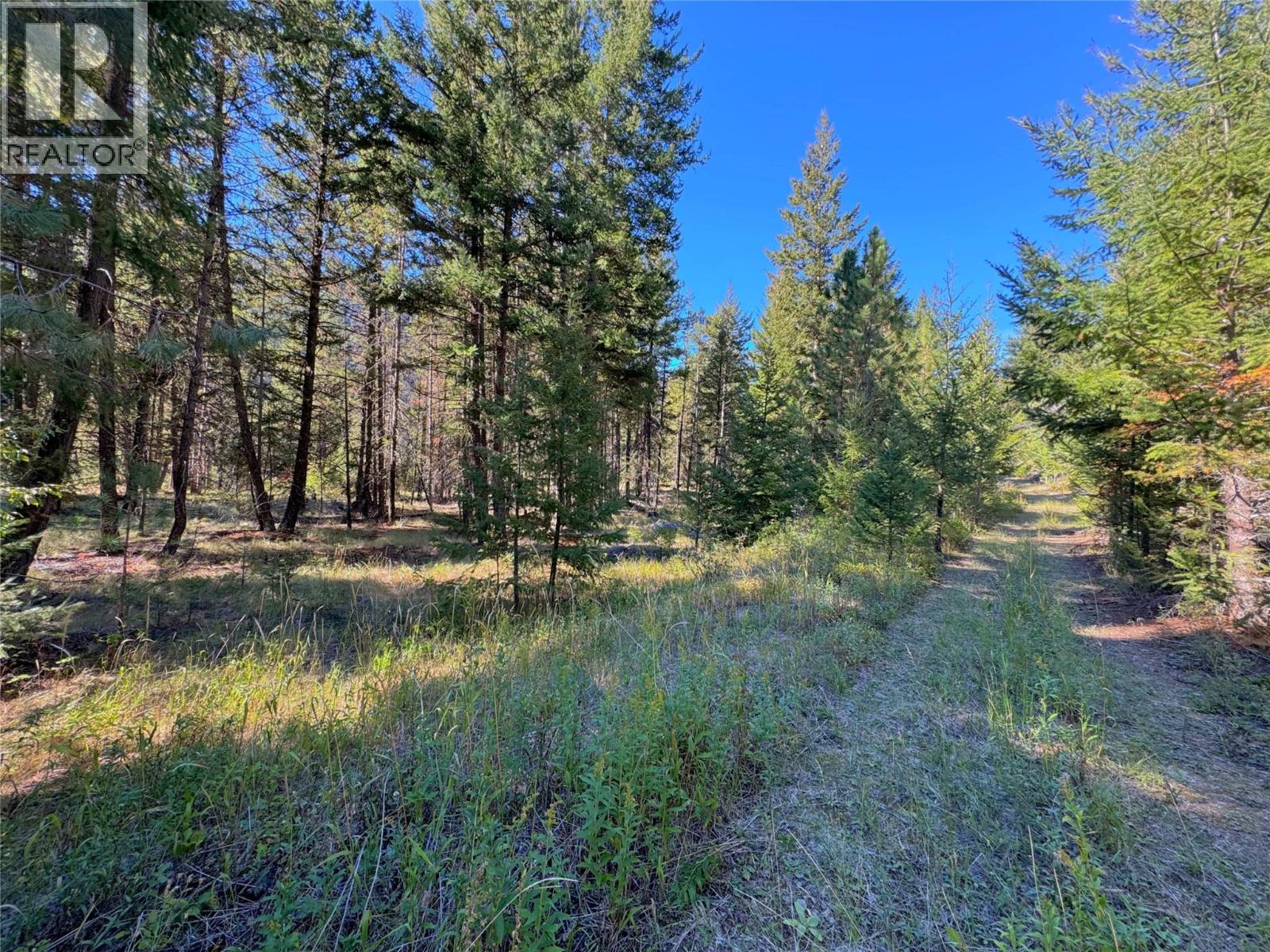 Dl 2697 Highway 5a, Princeton, British Columbia  V0X 1W0 - Photo 18 - 10383328