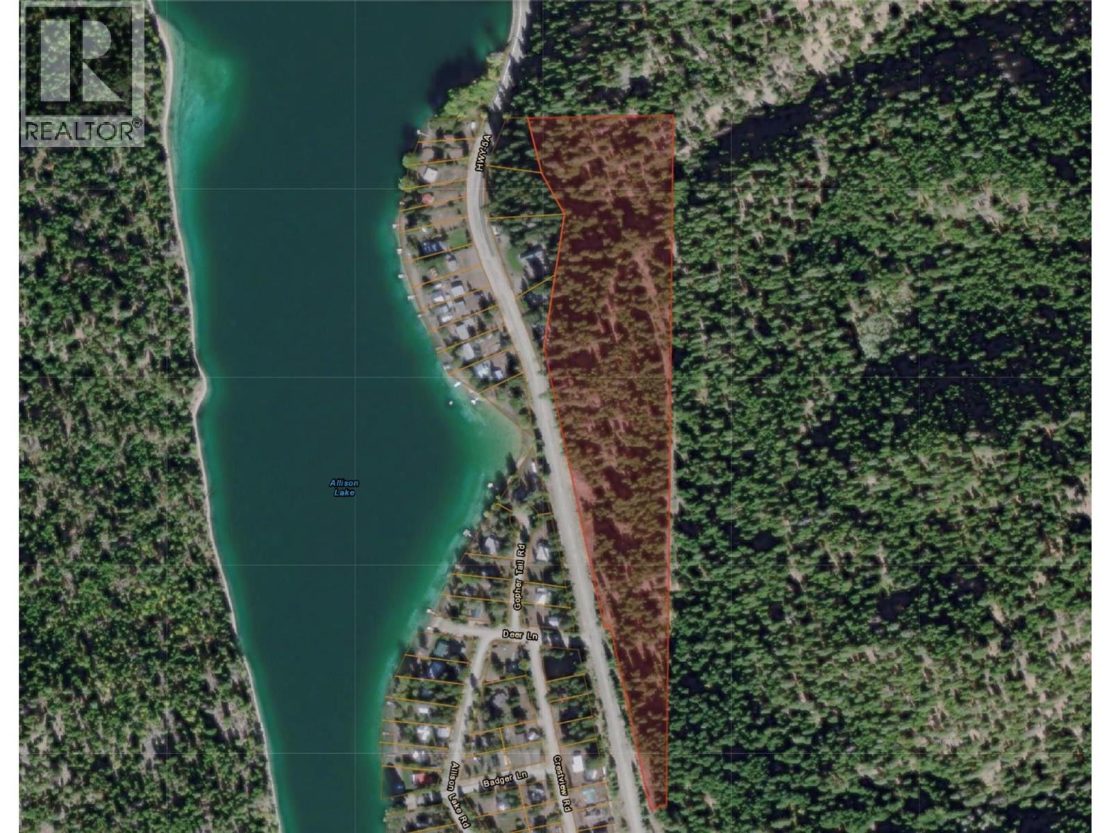 Dl 2697 Highway 5a, Princeton, British Columbia  V0X 1W0 - Photo 22 - 10383328