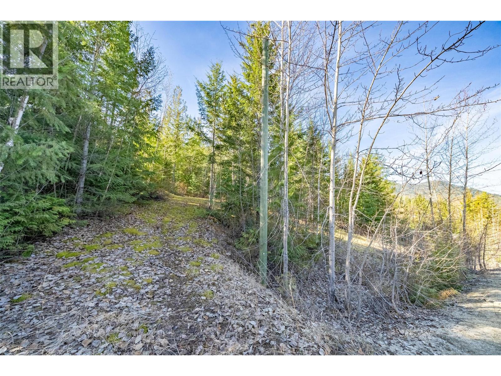 5056 Ivy Road, Eagle Bay, British Columbia  V0E 1T0 - Photo 10 - 10382546