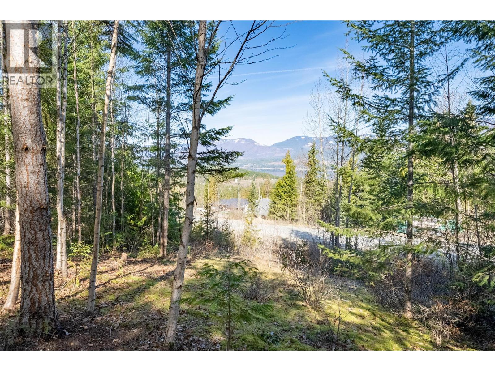 5056 Ivy Road, Eagle Bay, British Columbia  V0E 1T0 - Photo 11 - 10382546