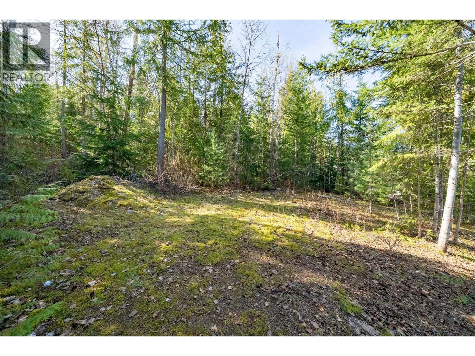 5056 Ivy Road, Eagle Bay, British Columbia  V0E 1T0 - Photo 12 - 10382546