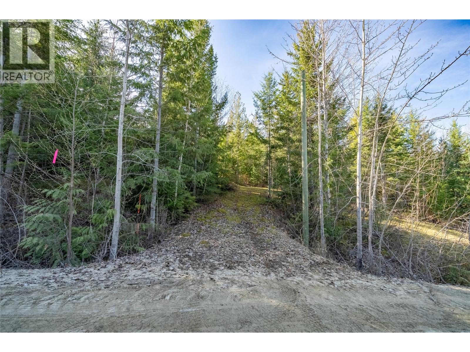 5056 Ivy Road, Eagle Bay, British Columbia  V0E 1T0 - Photo 9 - 10382546