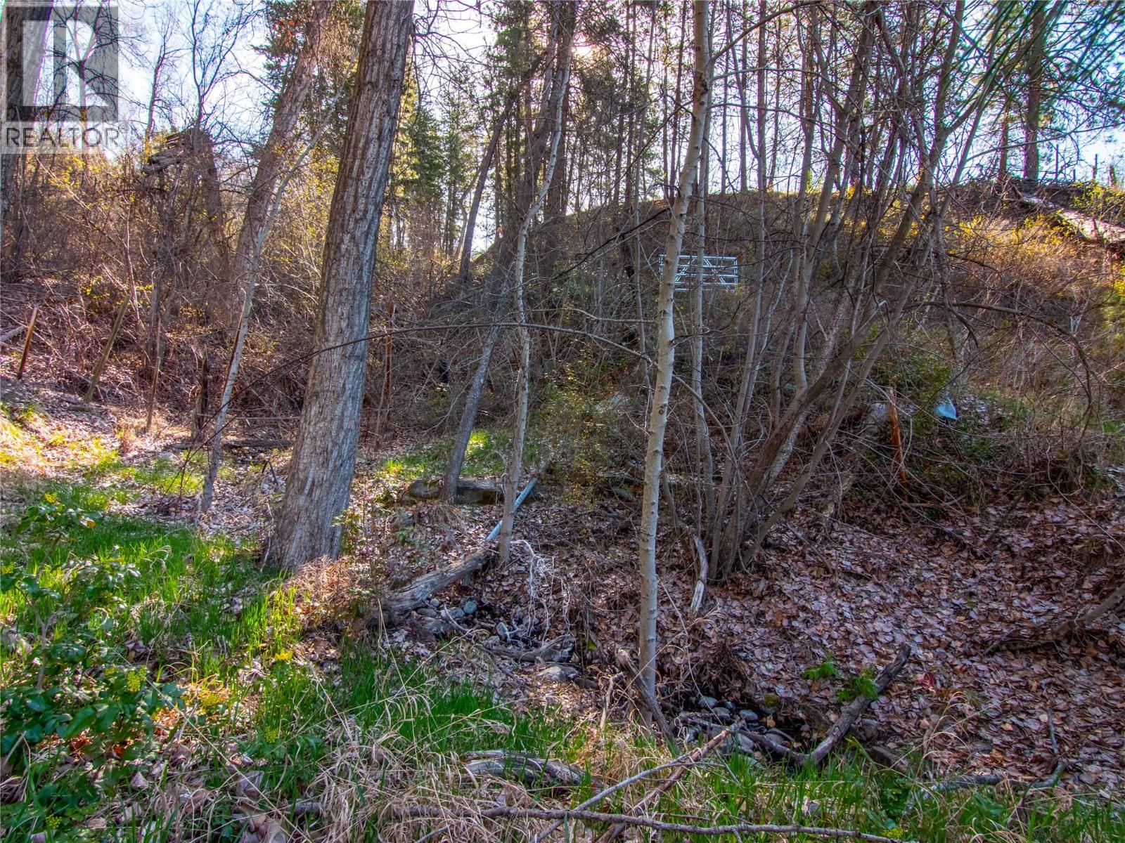 1276 Riddle Road, Penticton, British Columbia  V2A 8X2 - Photo 91 - 10381824