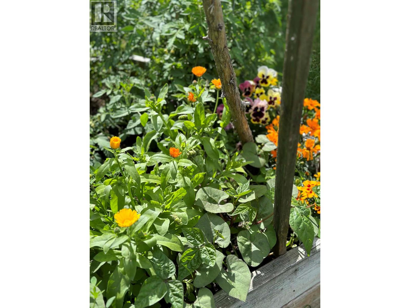 1007 Harold Street, Slocan, British Columbia  V0G 2C0 - Photo 27 - 10383250