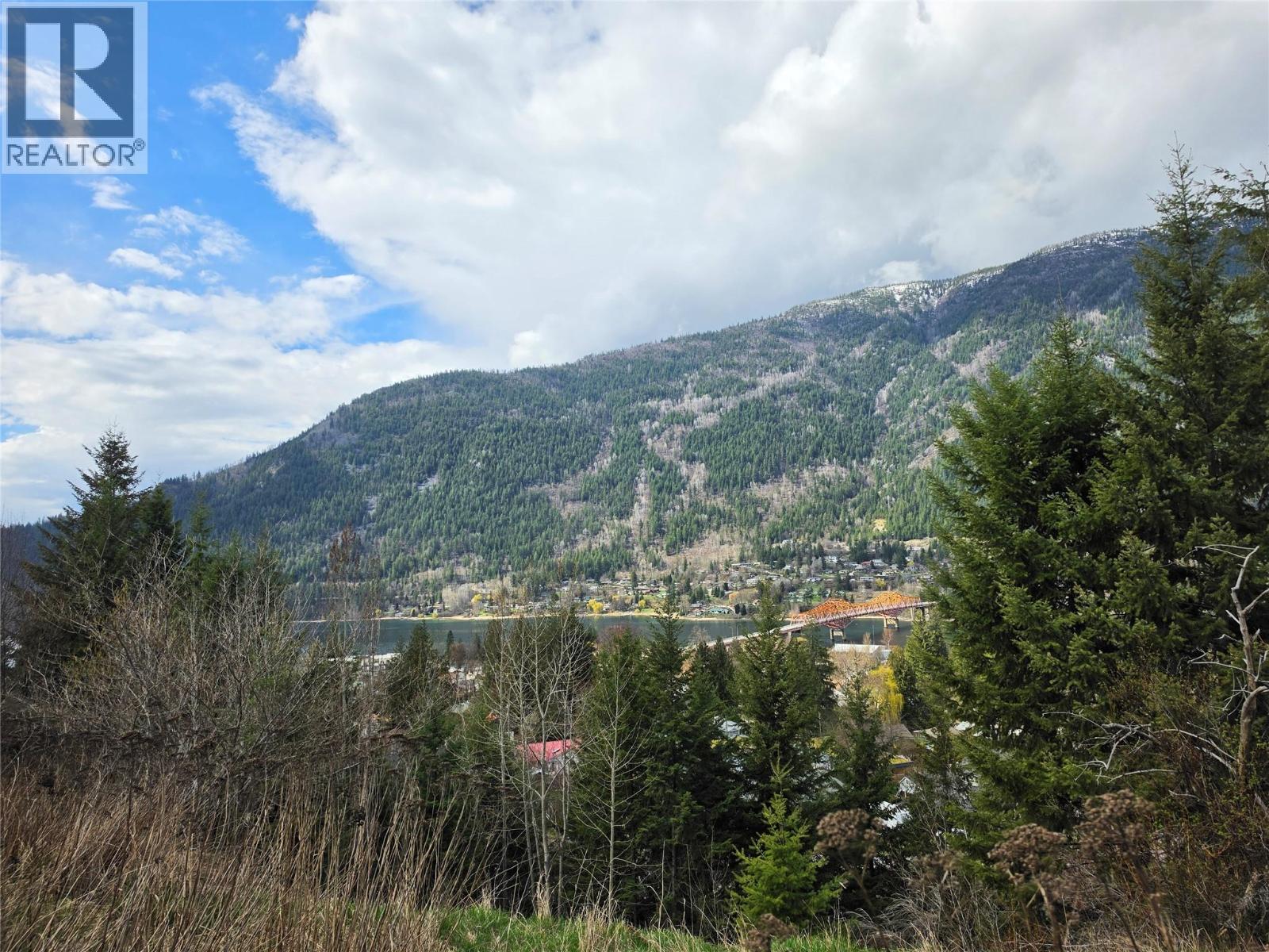 804 Eighth Street, Nelson, British Columbia  V1L 3B1 - Photo 3 - 10383190