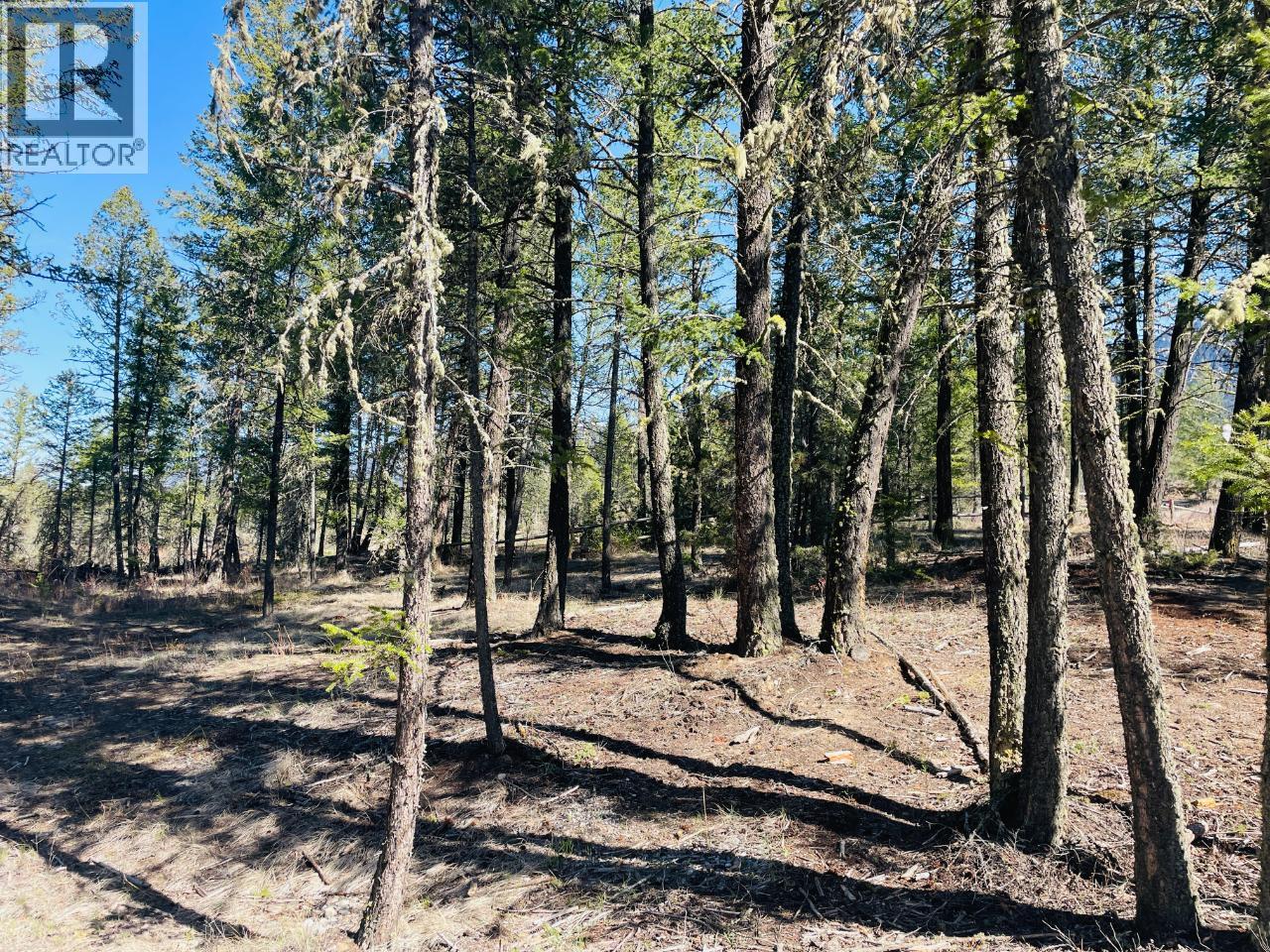 Lot 15 Crooked Tree Place, Fairmont Hot Springs, British Columbia  V0B 1L1 - Photo 20 - 10383380