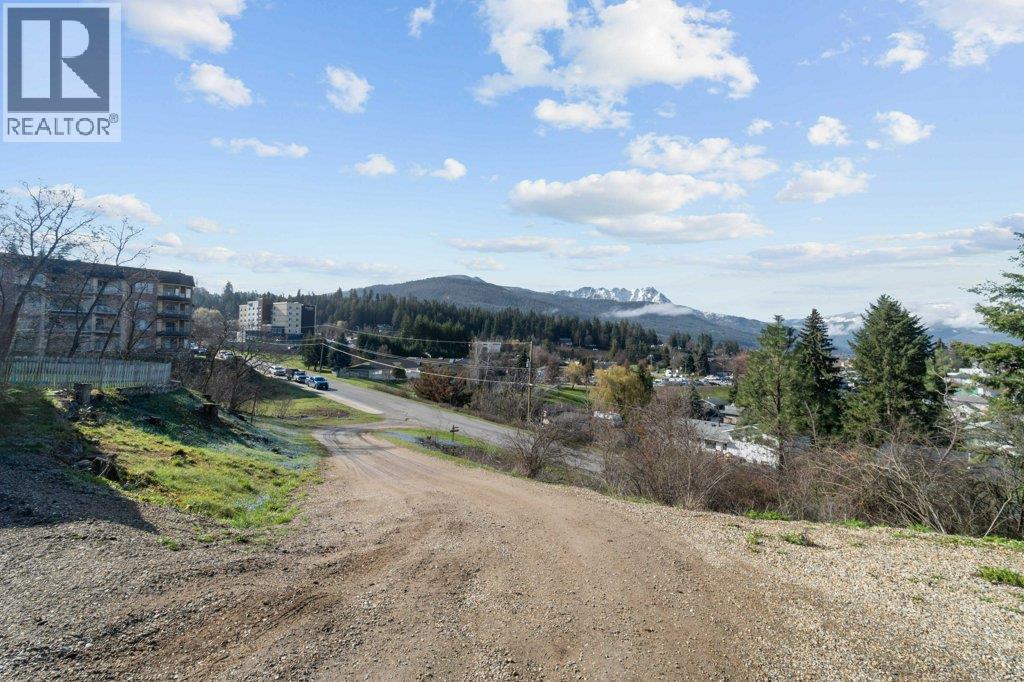 1321 10 Avenue Ne, Salmon Arm, British Columbia  V1E 2V6 - Photo 64 - 10383237