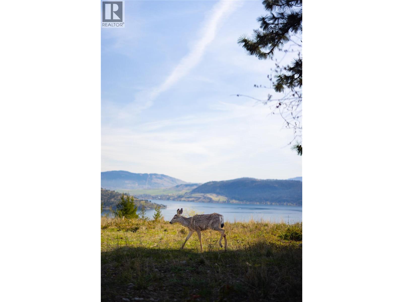 107 Crown Crescent, Vernon, British Columbia  V1H 2C3 - Photo 16 - 10383240