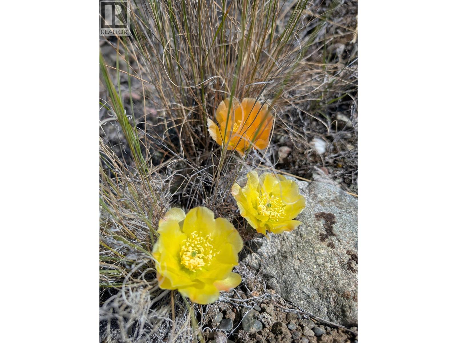 807 Railway Avenue Unit# 2, Ashcroft, British Columbia  V0K 1A0 - Photo 29 - 10383238