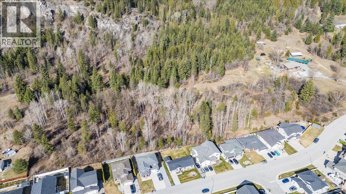 4008 16th Avenue, Castlegar, British Columbia  V1N 4A2 - Photo 13 - 10382931