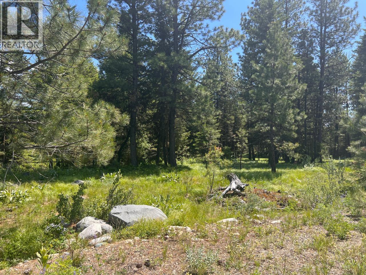 125 Sasquatch Trail, Osoyoos, British Columbia  V0H 1V6 - Photo 10 - 10382979