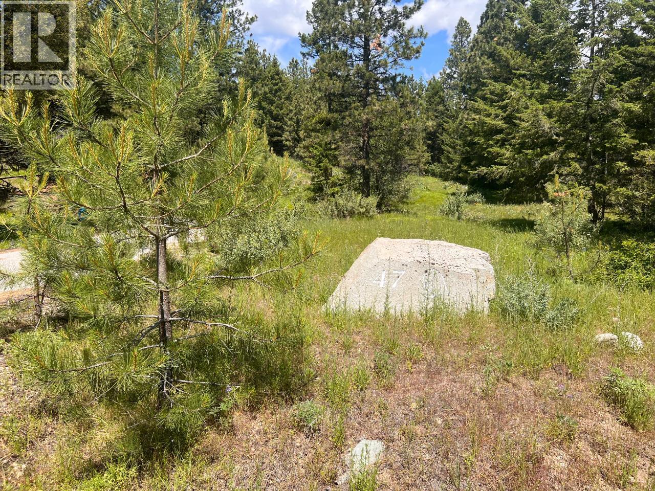 125 Sasquatch Trail, Osoyoos, British Columbia  V0H 1V6 - Photo 11 - 10382979