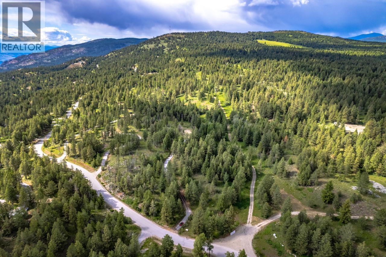 125 Sasquatch Trail, Osoyoos, British Columbia  V0H 1V6 - Photo 12 - 10382979