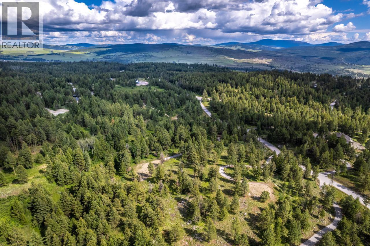 125 Sasquatch Trail, Osoyoos, British Columbia  V0H 1V6 - Photo 16 - 10382979