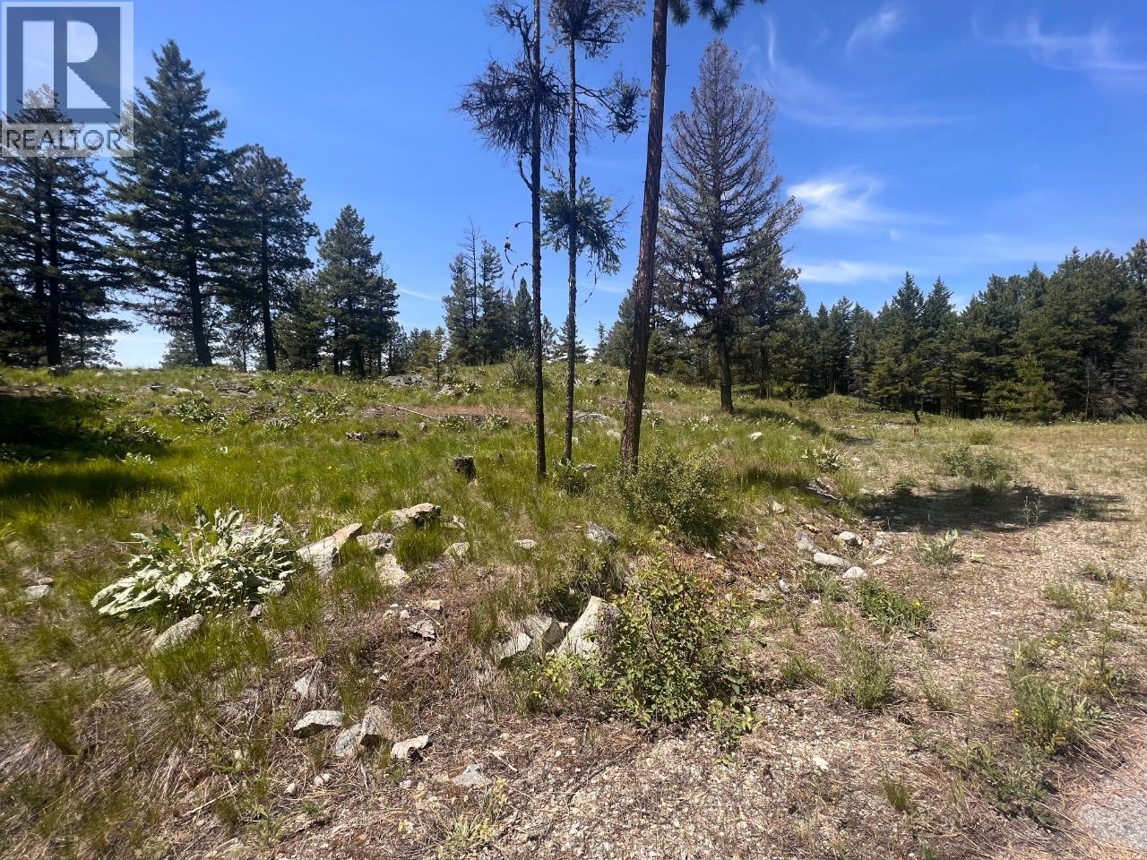 125 Sasquatch Trail, Osoyoos, British Columbia  V0H 1V6 - Photo 2 - 10382979