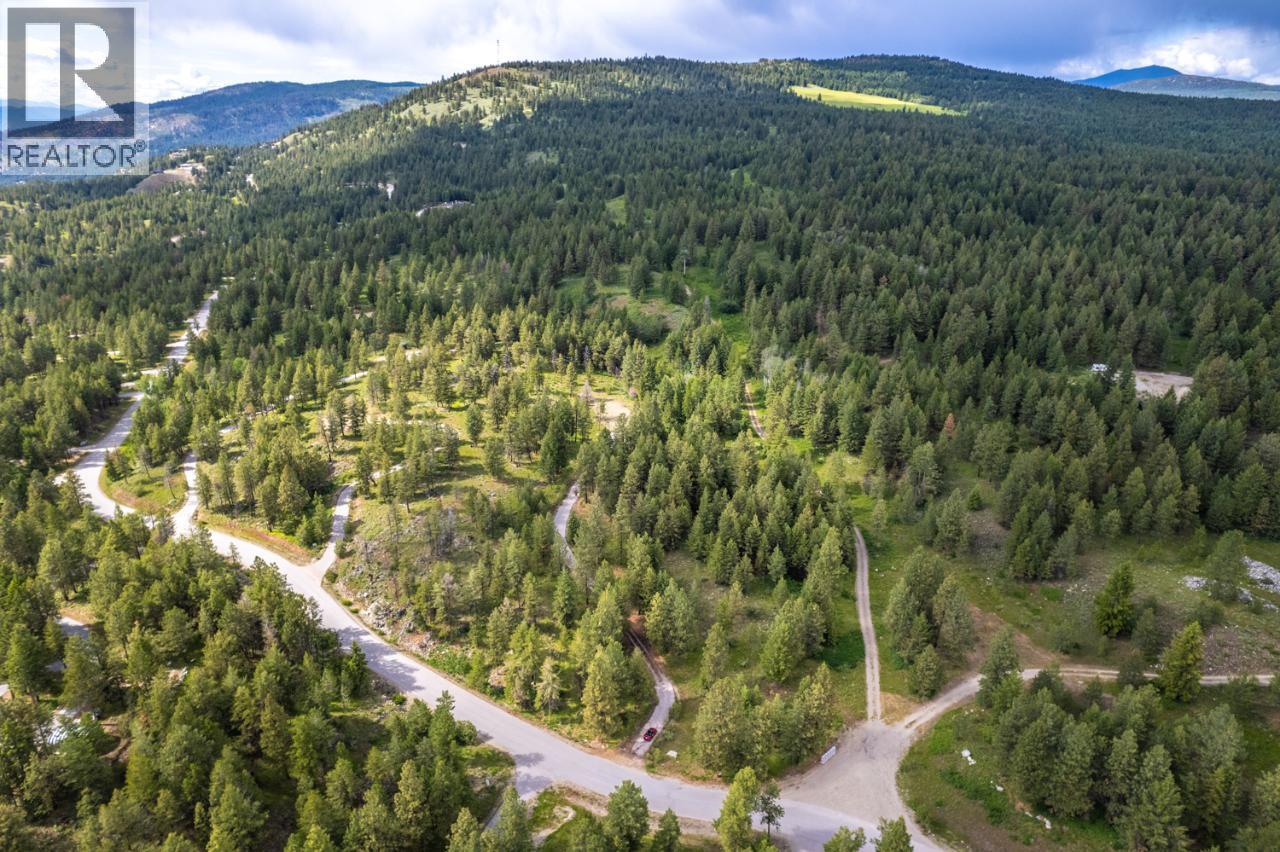 125 Sasquatch Trail, Osoyoos, British Columbia  V0H 1V6 - Photo 27 - 10382979