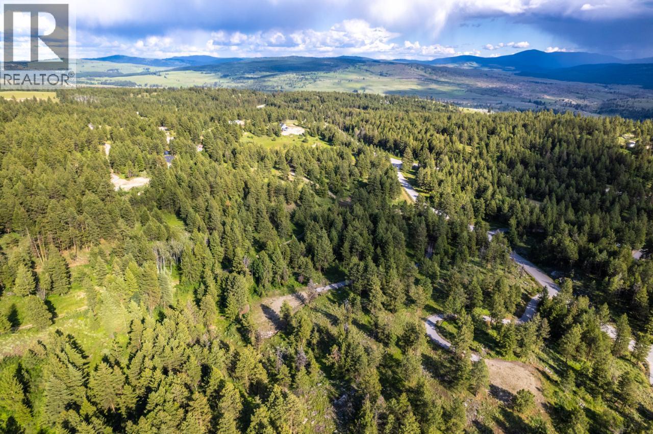 125 Sasquatch Trail, Osoyoos, British Columbia  V0H 1V6 - Photo 29 - 10382979