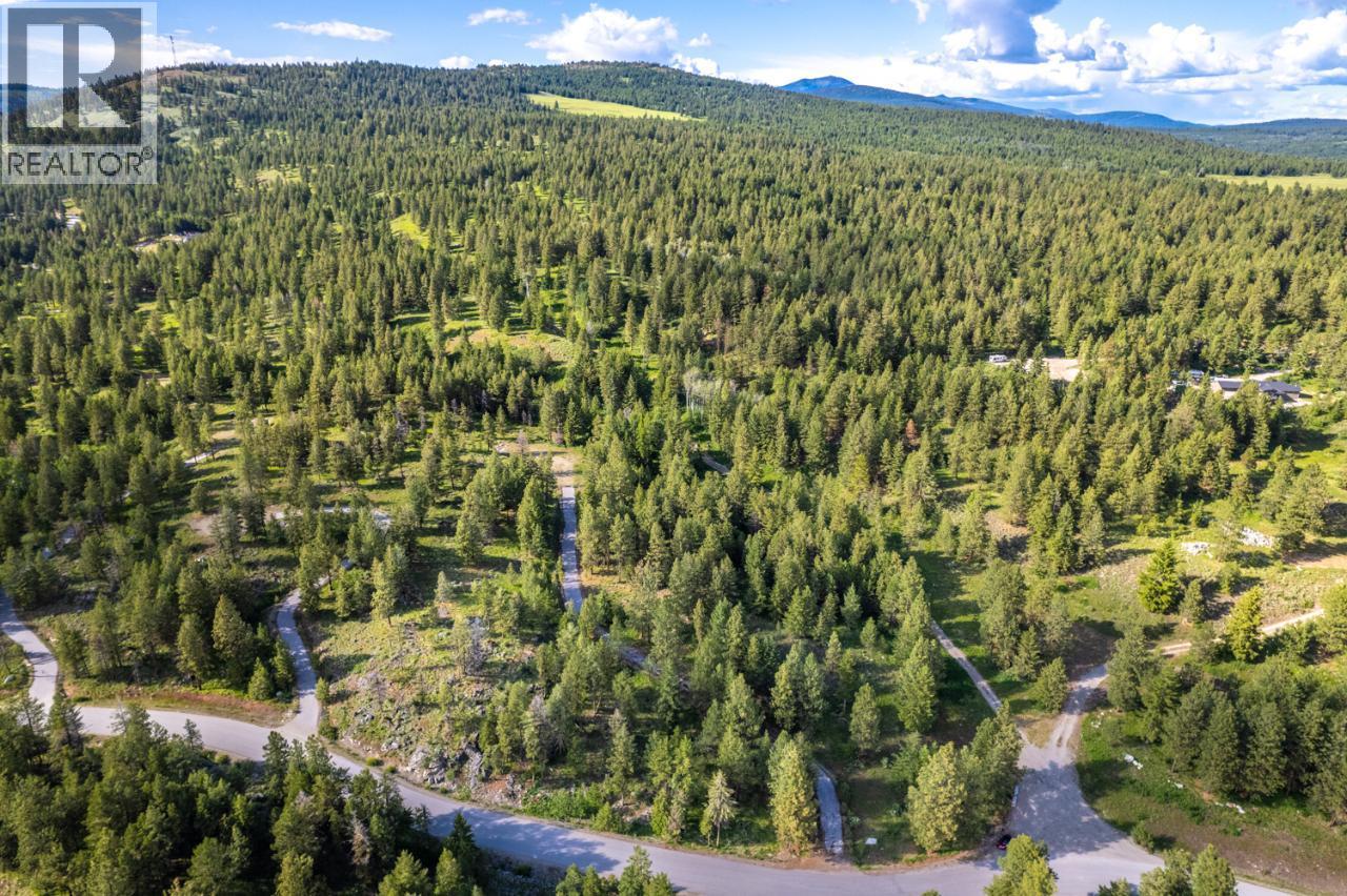 125 Sasquatch Trail, Osoyoos, British Columbia  V0H 1V6 - Photo 30 - 10382979