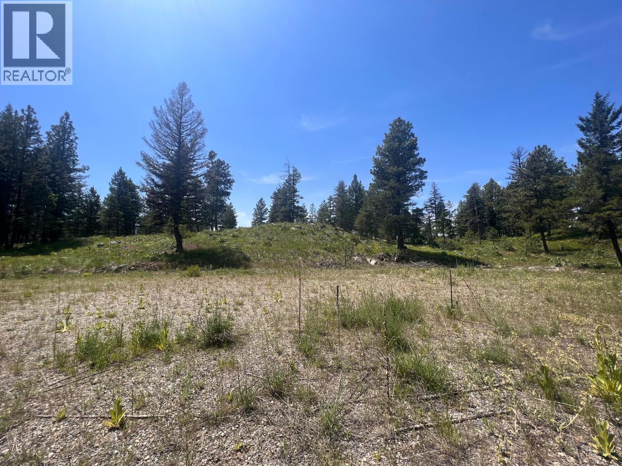 125 Sasquatch Trail, Osoyoos, British Columbia  V0H 1V6 - Photo 5 - 10382979