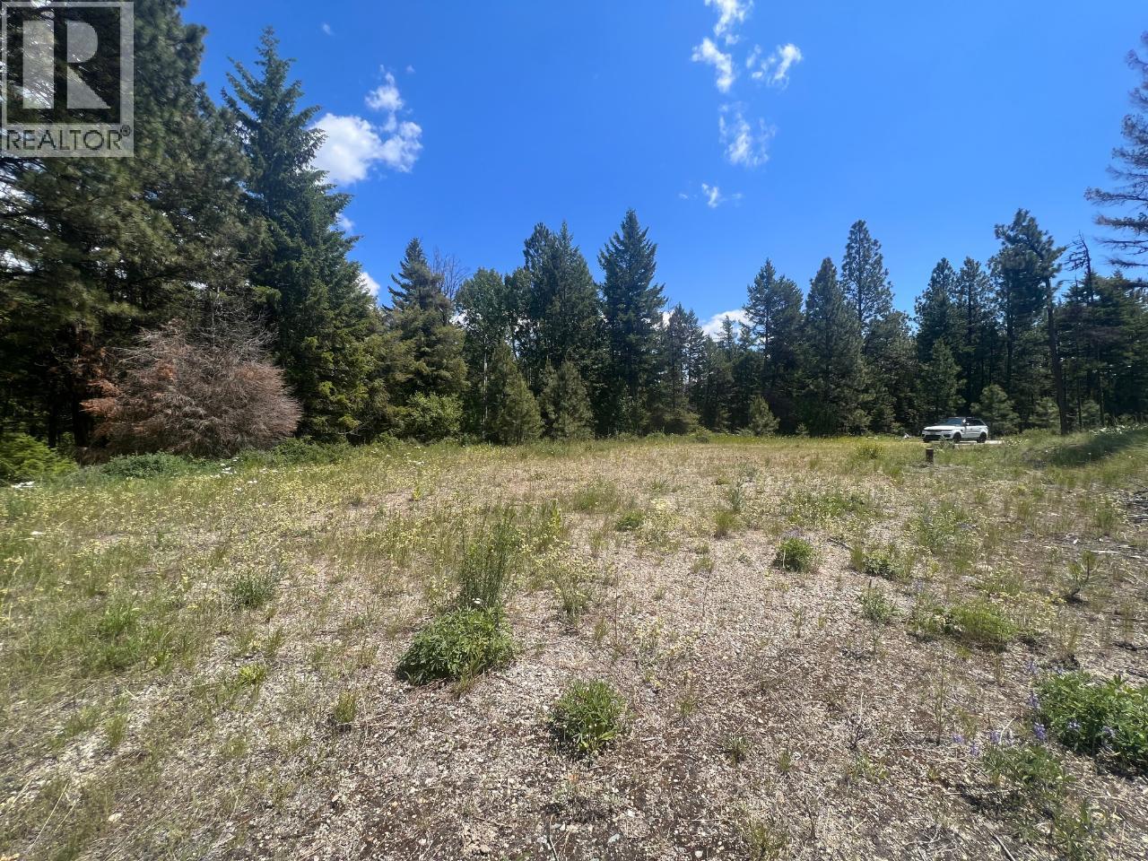 125 Sasquatch Trail, Osoyoos, British Columbia  V0H 1V6 - Photo 7 - 10382979