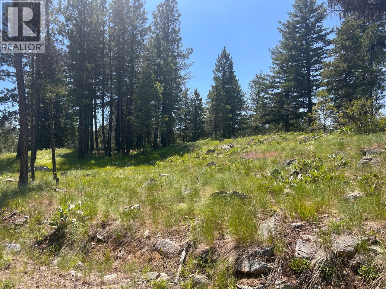 125 Sasquatch Trail, Osoyoos, British Columbia  V0H 1V6 - Photo 9 - 10382979