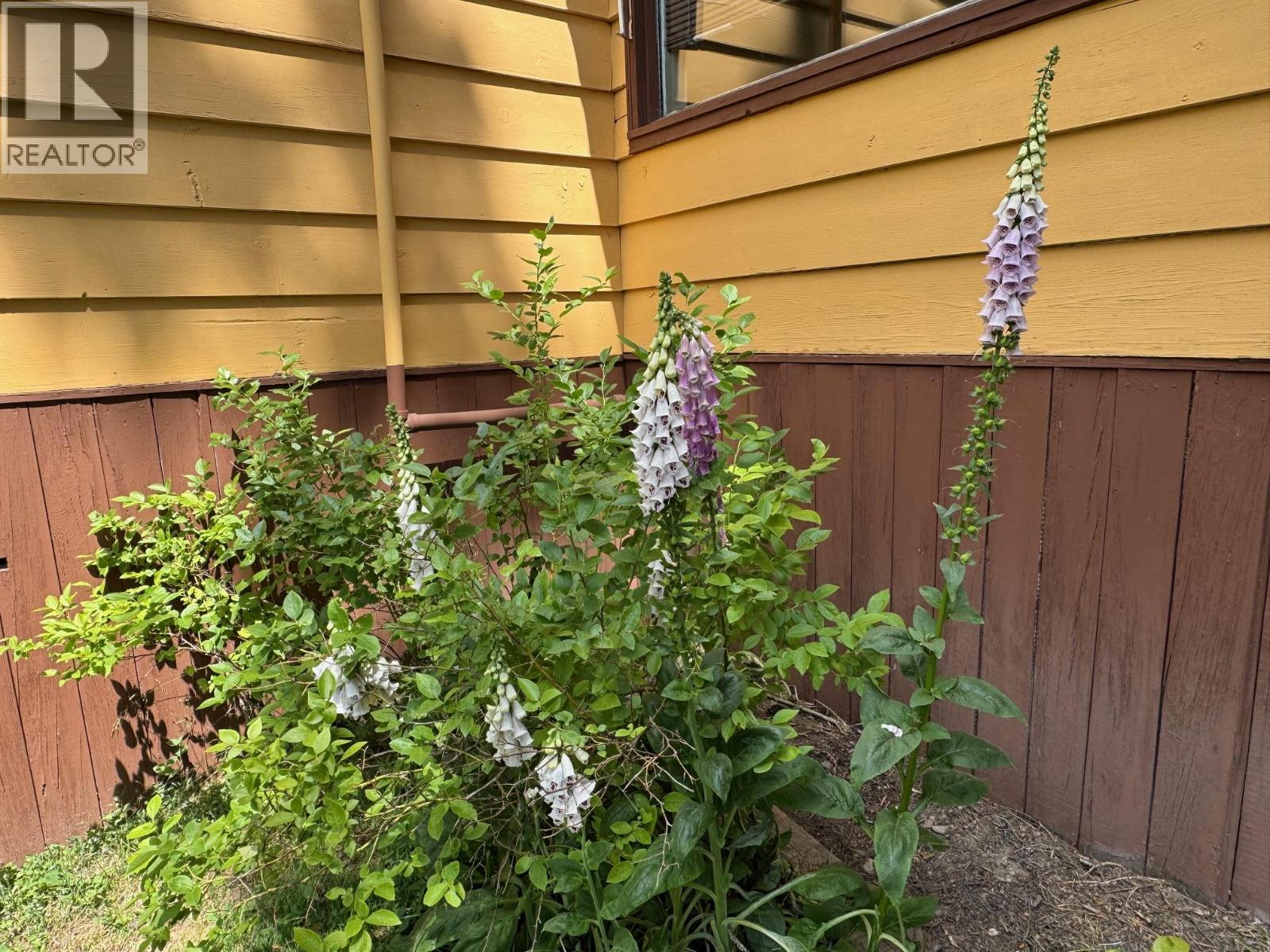 5128 Duck Creek Road, Wynndel, British Columbia  V0B 2N0 - Photo 11 - 10383343