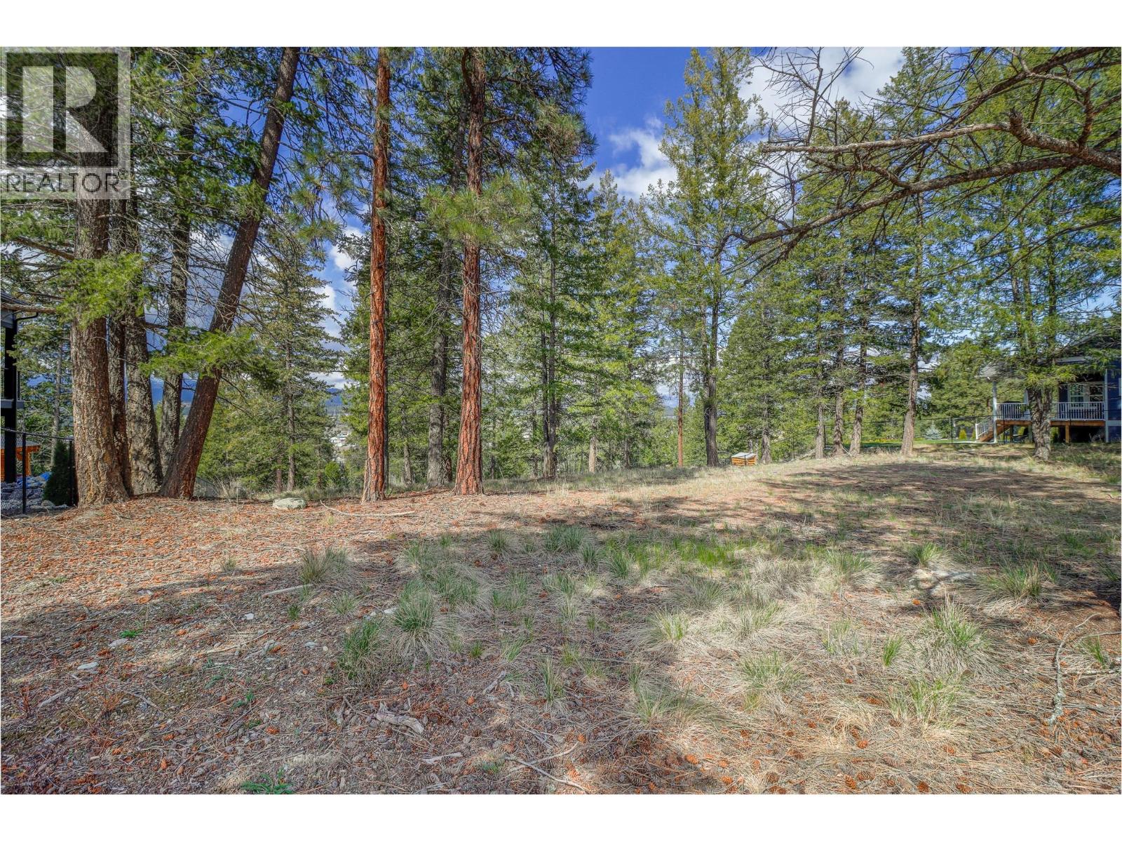 1513 Abel Avenue, Cranbrook, British Columbia  V1C 0C4 - Photo 12 - 10383309