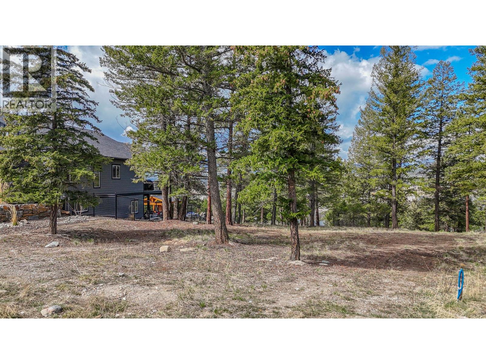 1513 Abel Avenue, Cranbrook, British Columbia  V1C 0C4 - Photo 7 - 10383309