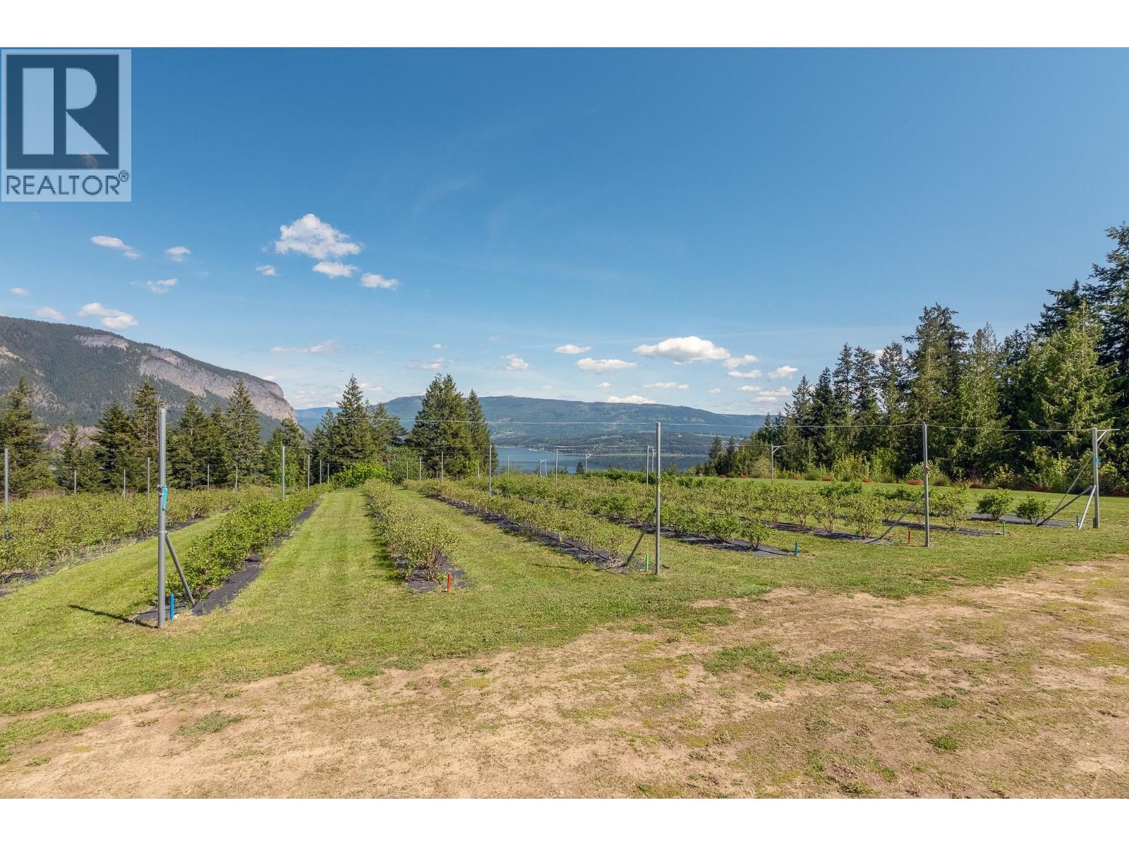 285 Kault Hill Road, Salmon Arm, British Columbia  V1E 3A4 - Photo 14 - 10383275