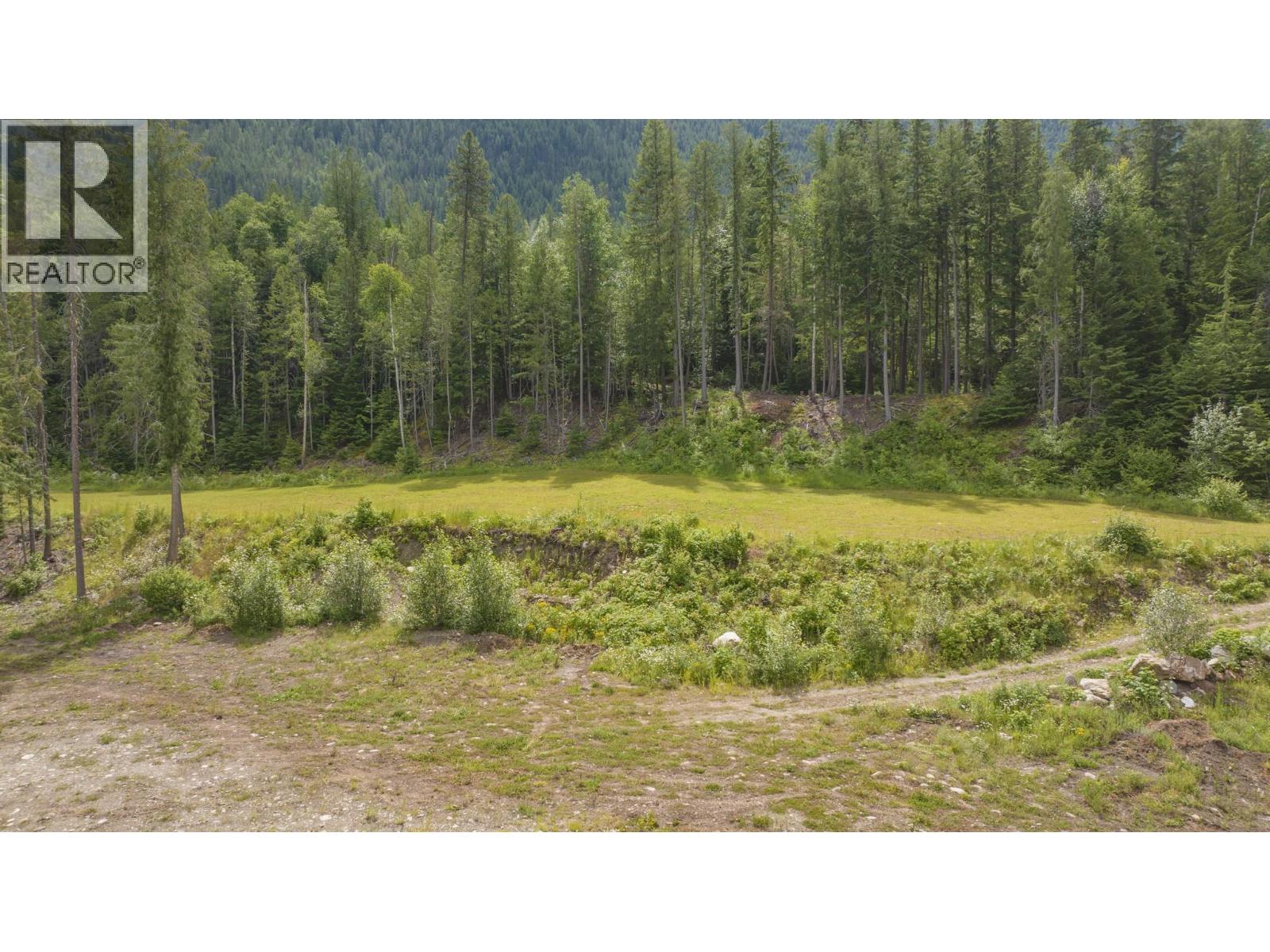 1136 Sugar Lake Road, Cherryville, British Columbia  V0E 2G2 - Photo 45 - 10383058