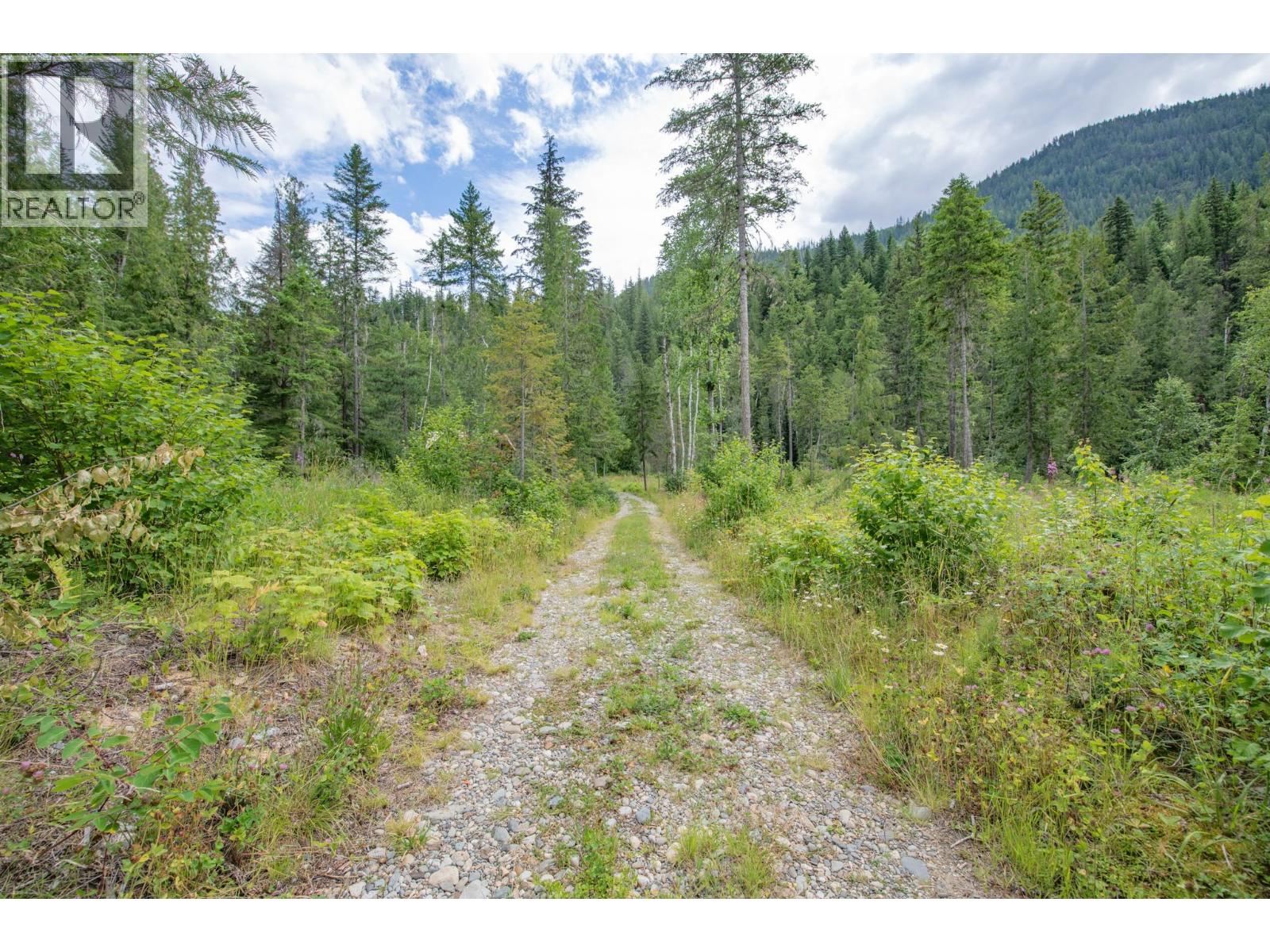 1136 Sugar Lake Road, Cherryville, British Columbia  V0E 2G2 - Photo 7 - 10383058