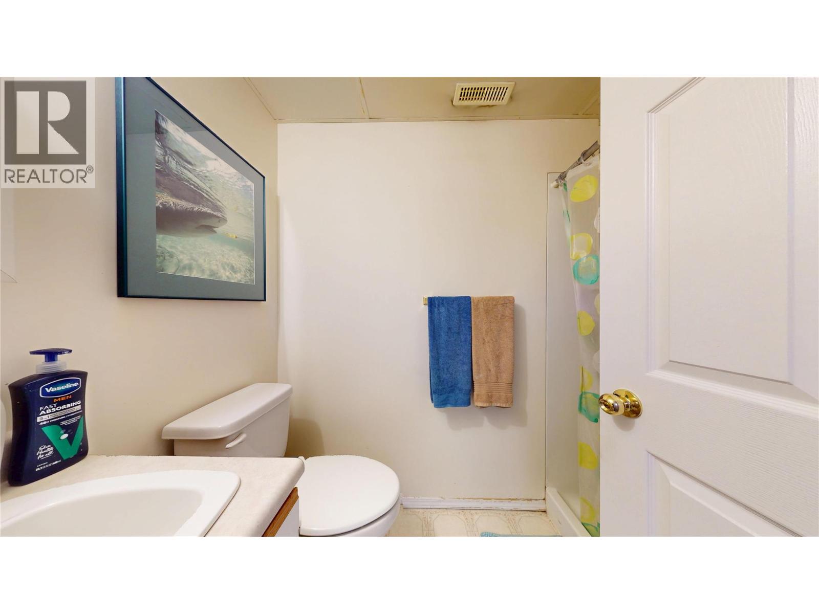 801 24th Avenue N, Cranbrook, British Columbia  V1C 6J4 - Photo 27 - 10383318