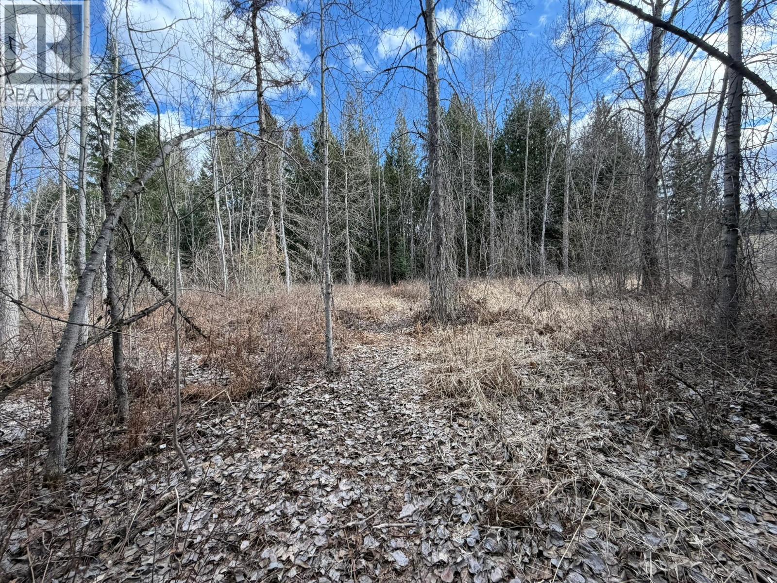 1841 50 Street Nw, Salmon Arm, British Columbia  V1E 3B1 - Photo 15 - 10383291