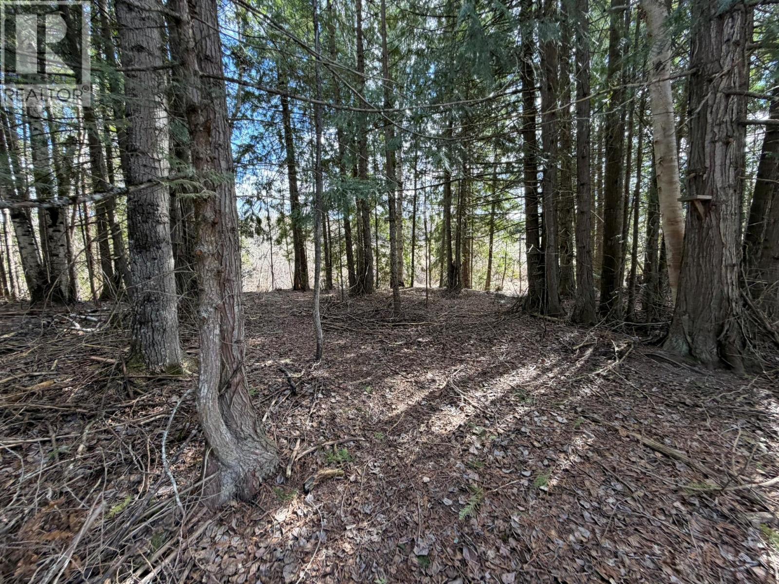 1841 50 Street Nw, Salmon Arm, British Columbia  V1E 3B1 - Photo 82 - 10383291