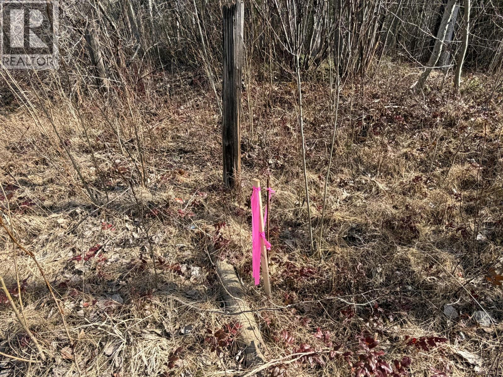 1841 50 Street Nw, Salmon Arm, British Columbia  V1E 3B1 - Photo 85 - 10383291