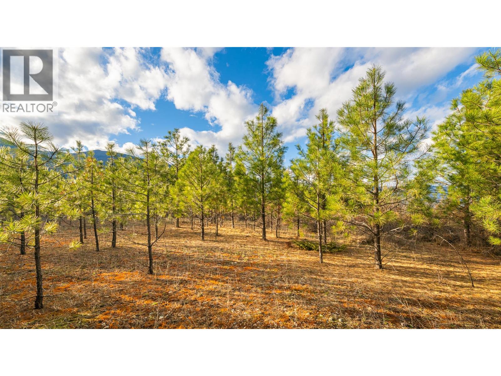 2075 Highland Crescent, Creston, British Columbia  V0B 1G7 - Photo 1 - 10382415