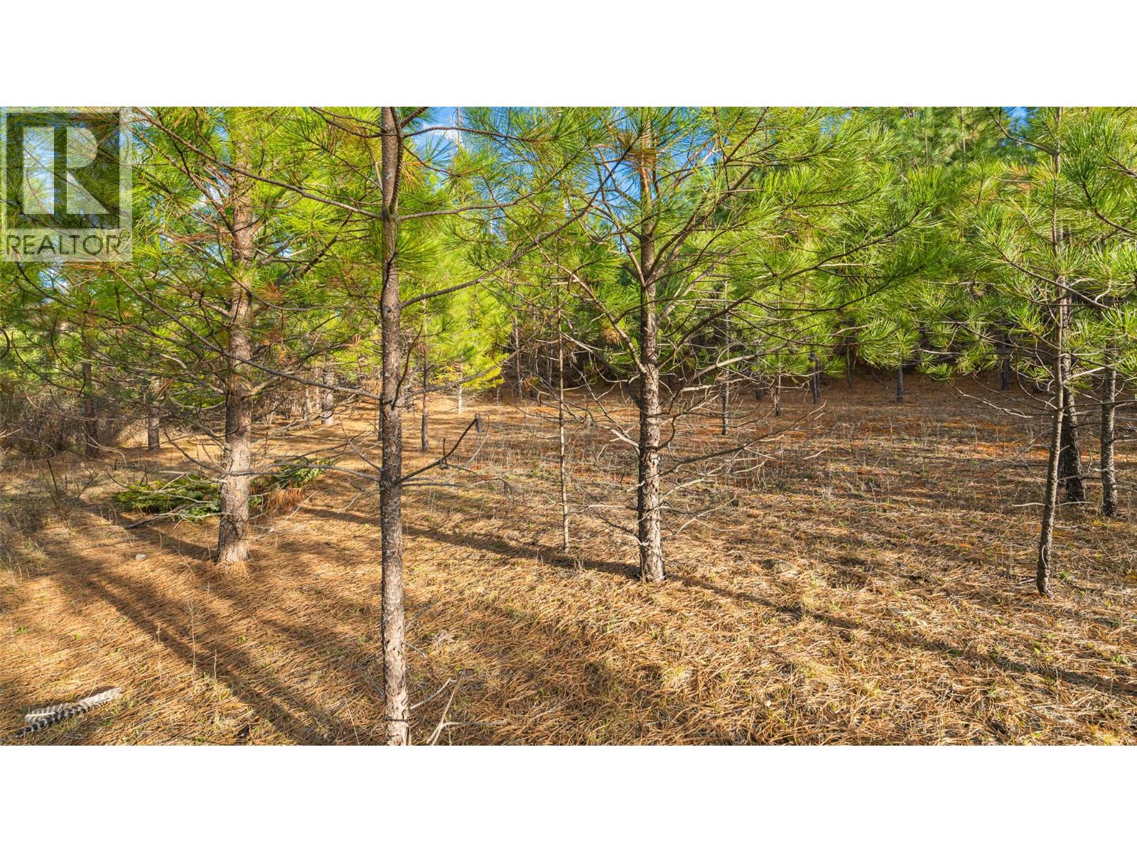 2075 Highland Crescent, Creston, British Columbia  V0B 1G7 - Photo 3 - 10382415