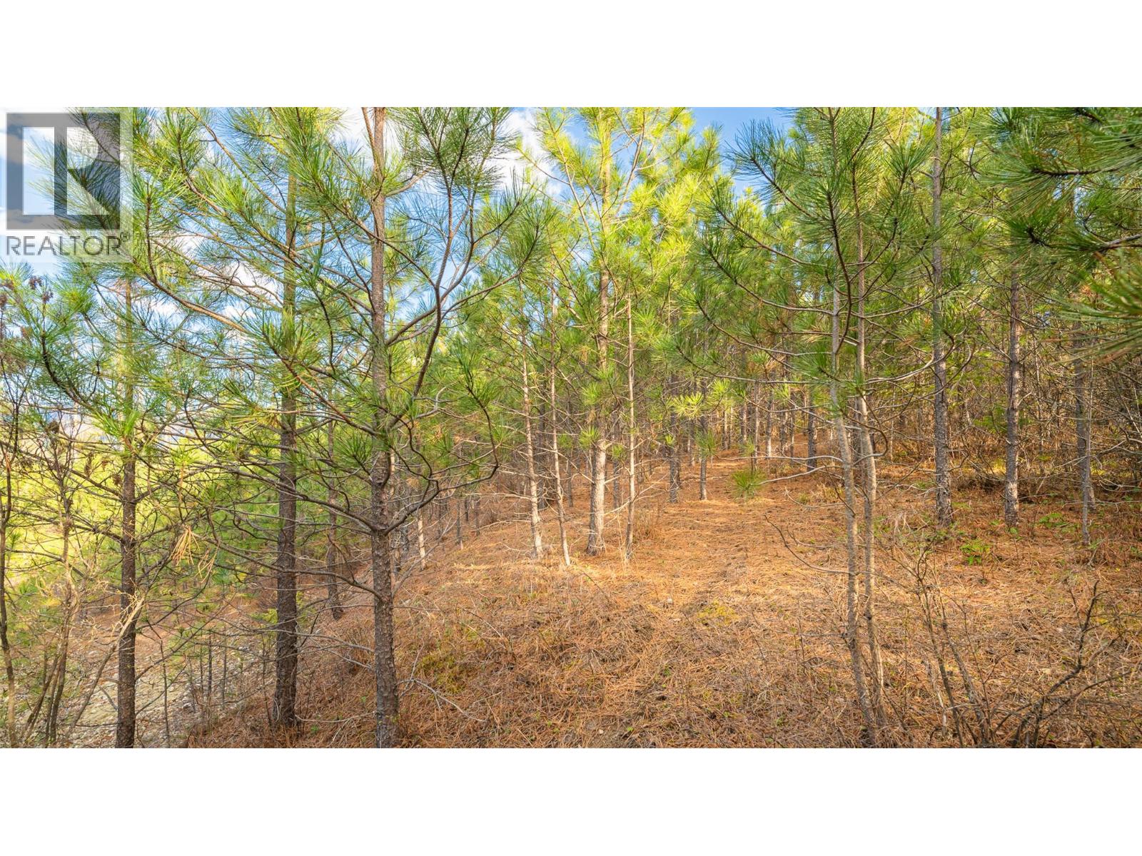 2075 Highland Crescent, Creston, British Columbia  V0B 1G7 - Photo 4 - 10382415