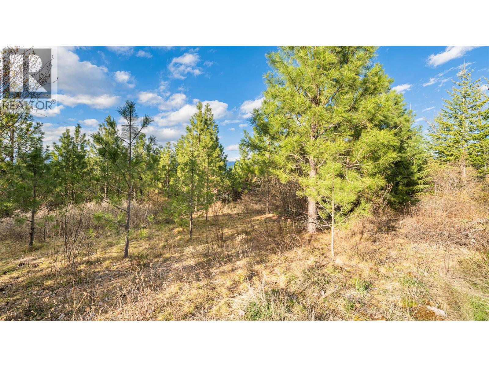 2075 Highland Crescent, Creston, British Columbia  V0B 1G7 - Photo 5 - 10382415