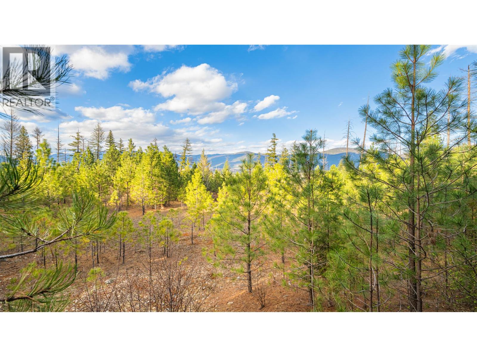 2075 Highland Crescent, Creston, British Columbia  V0B 1G7 - Photo 6 - 10382415