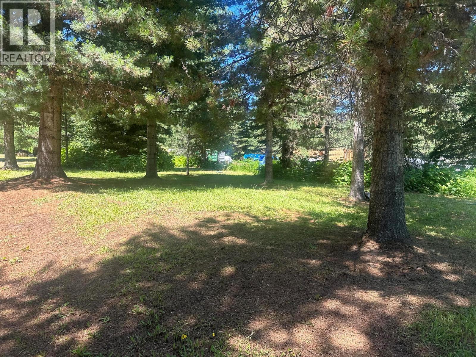 212 Island View Road, Nakusp, British Columbia  V0G 1R1 - Photo 4 - 10383431