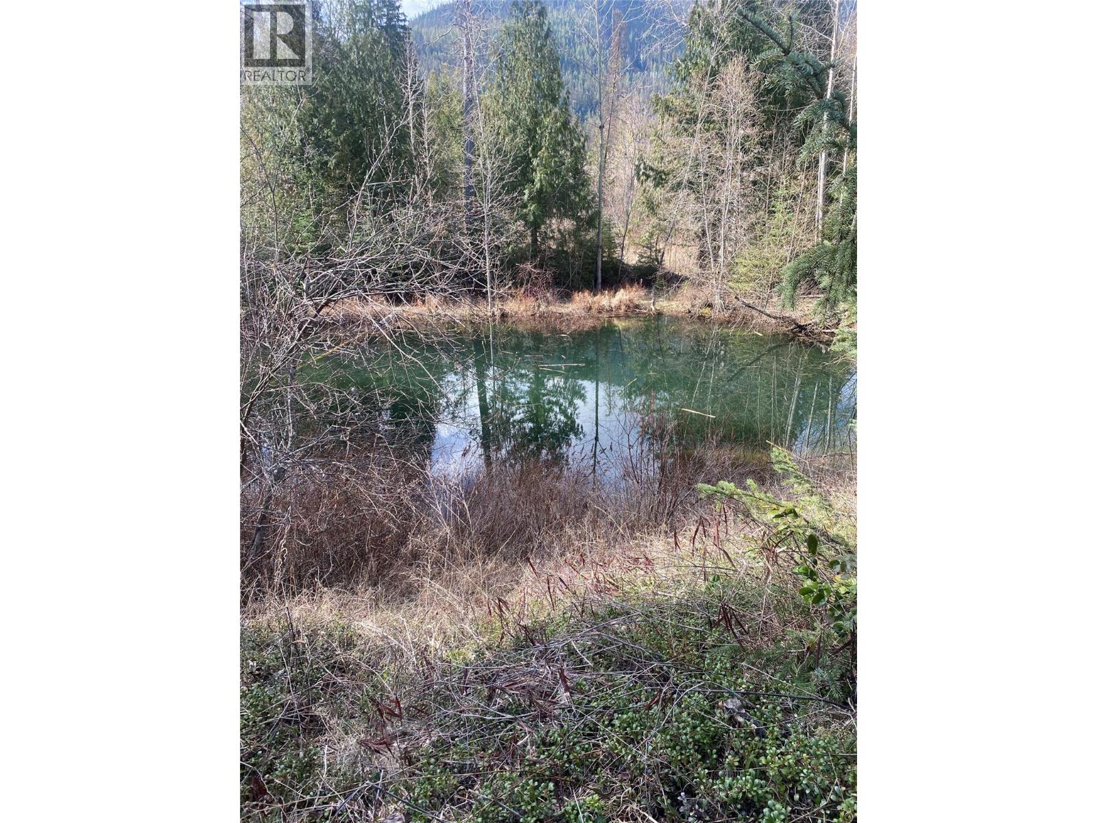 Kittyhawk Road Lot# Lot B, Kitchener, British Columbia  V0B 1W1 - Photo 1 - 10383035